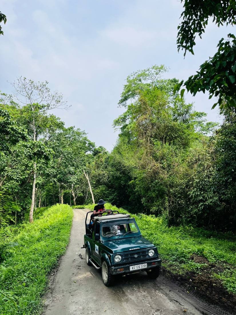 Jeep safari in Kaziranga