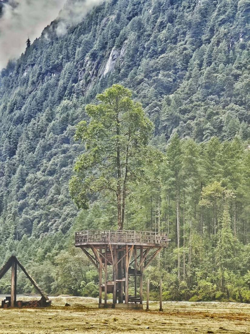 Tree house at Anini